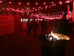 8 things to love about dark mofo